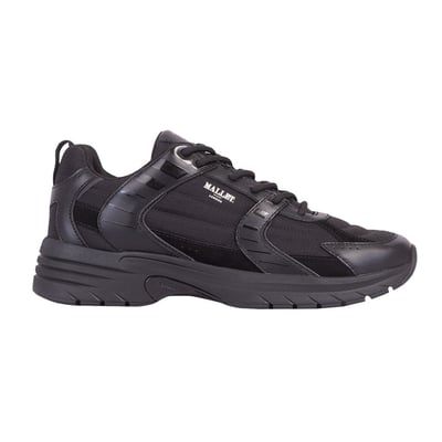Mallet Holloway Trainer