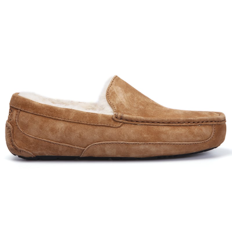 Ugg Ascot Slipper