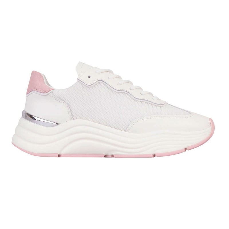 Mallet Packington Trainer