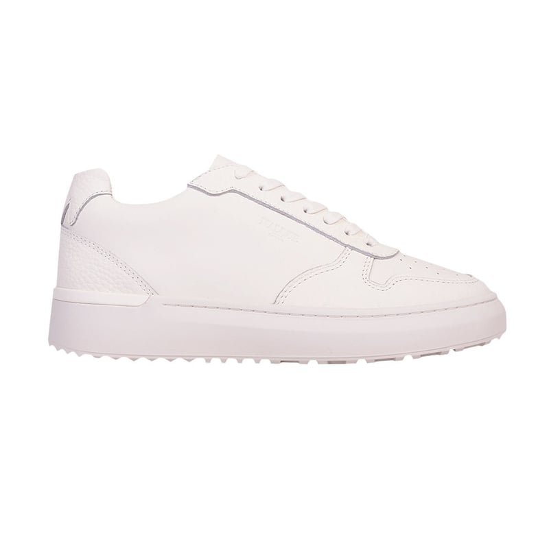 Mallet Hoxton Trainer